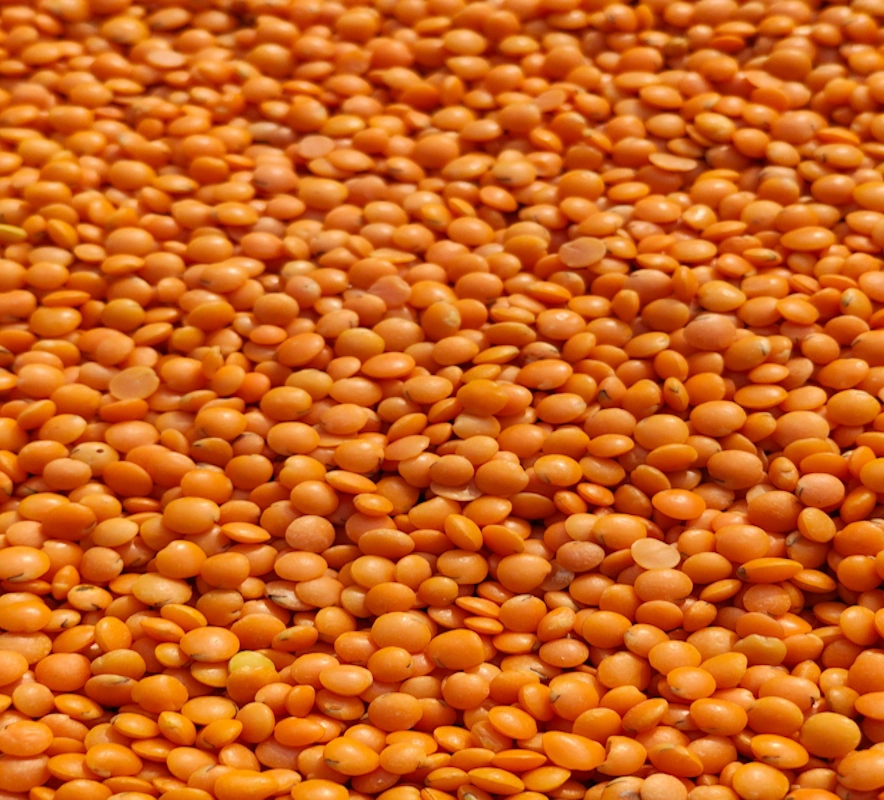 lentils